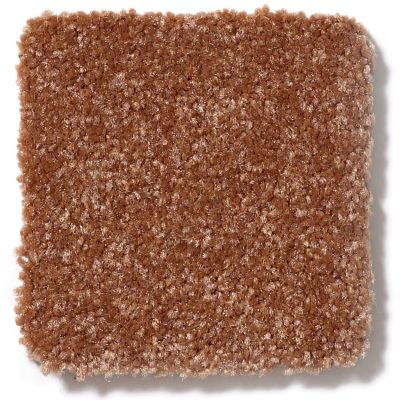 Shaw Floors SFA Passageway II Soft Copper 52S25_00600