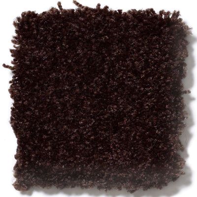 Shaw Floors SFA Passageway II Dark Roast 52S25_00709