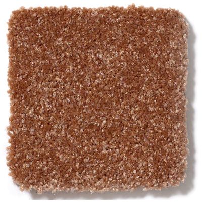 Shaw Floors SFA Passageway III Soft Copper 52S26_00600