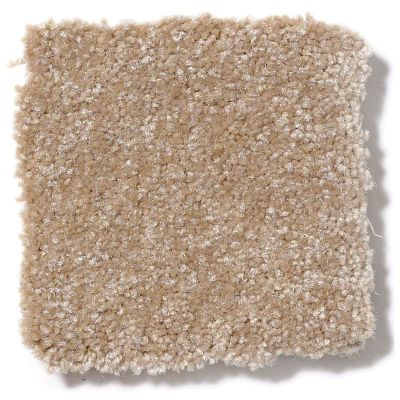 Shaw Floors SFA Passageway III Sea Grass 52S26_00700