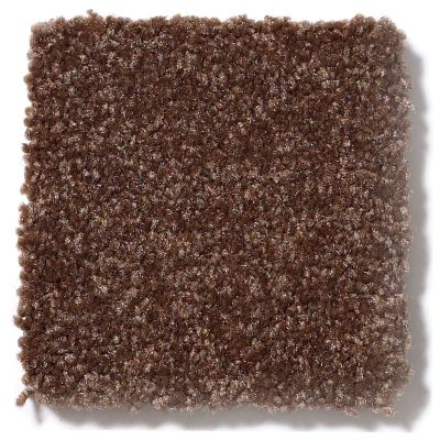 Shaw Floors SFA Passageway III Mocha Chip 52S26_00705