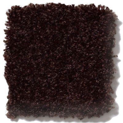 Shaw Floors SFA Passageway III Dark Roast 52S26_00709
