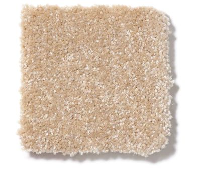 Shaw Floors SFA Passageway III Sugar Cookie 52S27_00105