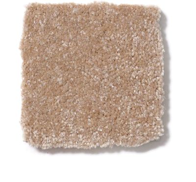 Shaw Floors SFA Passageway III Muffin 52S27_00106