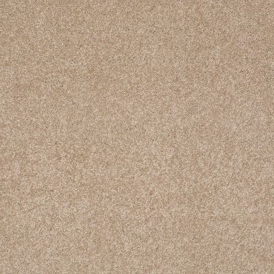 Shaw Floors Anso Colorwall Design Texture Gold Townhouse Taupe 00700_52T72