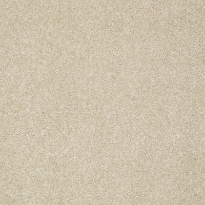 Shaw Floors Anso Colorwall Design Texture Gold Travertine 00702_52T72