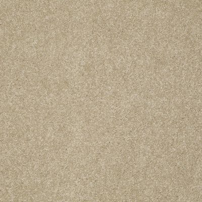Shaw Floors Anso Colorwall Design Texture Gold Riverbank 00770_52T72