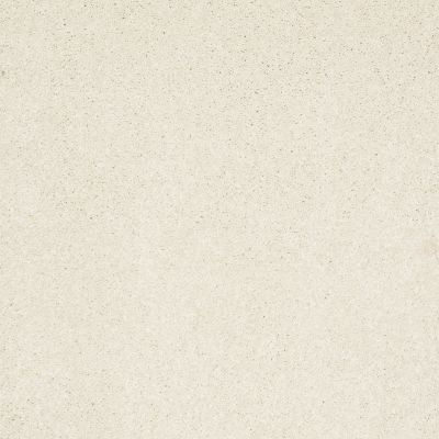 Shaw Floors Anso Colorwall Design Texture Platinum 12′ Fine China 00104_52T73