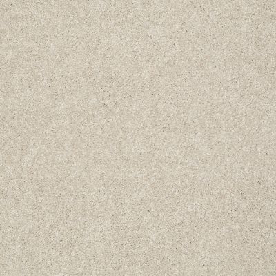 Shaw Floors Anso Colorwall Design Texture Platinum 12′ Candlewick 00124_52T73