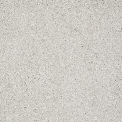 Shaw Floors Anso Colorwall Design Texture Platinum 12′ Putty 00125_52T73