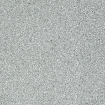 Shaw Floors Anso Colorwall Design Texture Platinum 12′ Fossil 00541_52T73