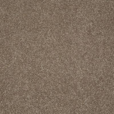Shaw Floors Anso Colorwall Design Texture Platinum 12′ Iced Coffee 00723_52T73