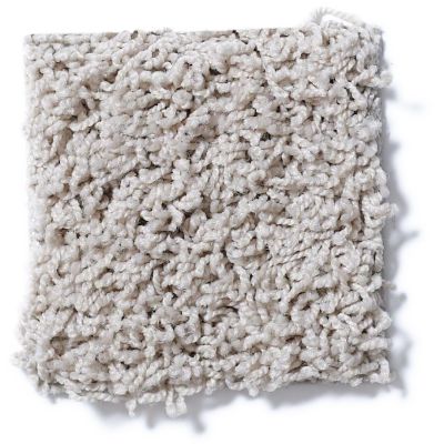 Shaw Floors Guess Work (s) Soft Shell 52T99_00102