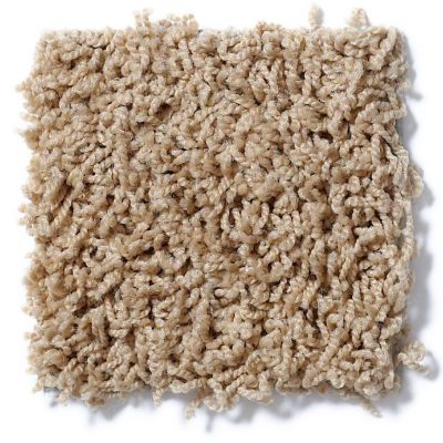 Shaw Floors Guess Work (s) Haystack 52T99_00200