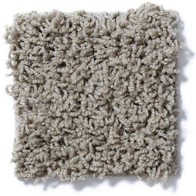 Shaw Floors Guess Work (s) River Moss 52T99_00300