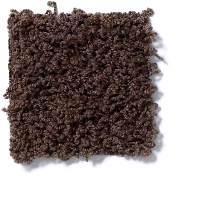Shaw Floors Guess Work (s) Buccaneer 52T99_00701