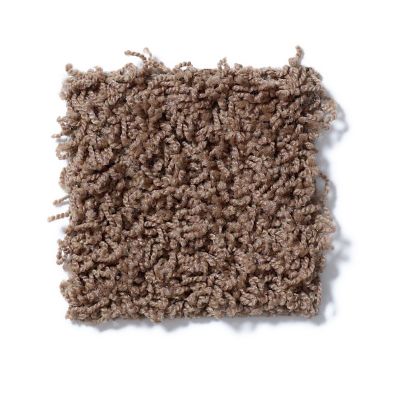 Shaw Floors Guess Work (s) Pine Bark 52T99_00702