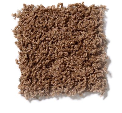 Shaw Floors Guess Work (s) Toffee 52T99_00703