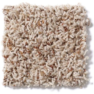 Shaw Floors Guess Work (b) Thatch 52U00_00720