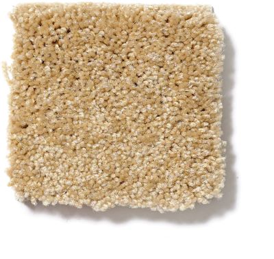 Shaw Floors Town Creek I 15′ Butter 52V12_00200
