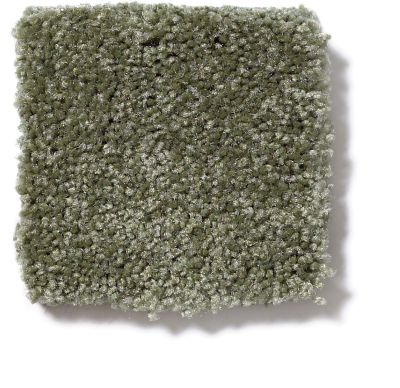 Shaw Floors Town Creek I 15′ Sage Leaf 52V12_00302