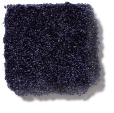 Shaw Floors Town Creek I 15′ Uniform 52V12_00404