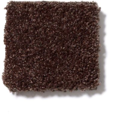 Shaw Floors Town Creek I 15′ Walnut 52V12_00706