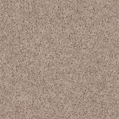 Shaw Floors Northern Parkway Feather 00105_52V34