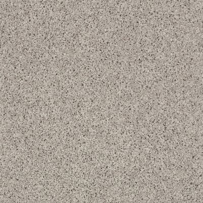Shaw Floors Northern Parkway Taupe Stone 00112_52V34