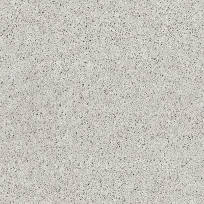 Shaw Floors Northern Parkway Dove Grey 00510_52V34
