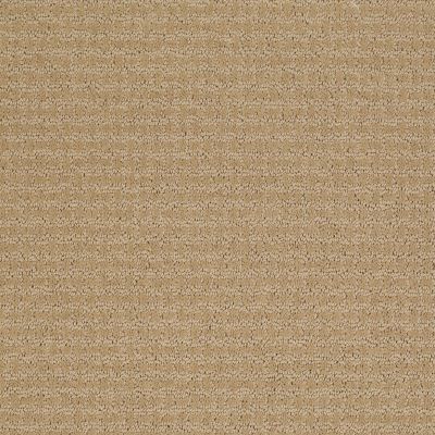 Shaw Floors Ray Of Light Natural Wood 00701_52V36