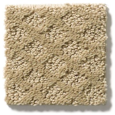 Shaw Floors Padova Mushroom 52V37_00703