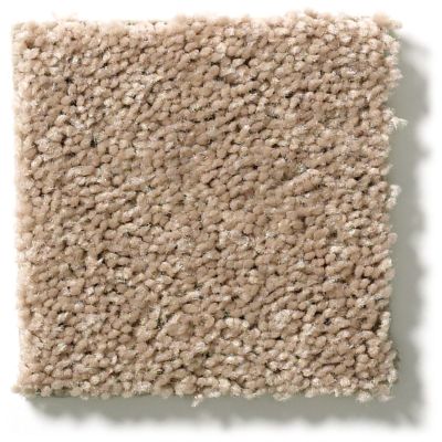 Shaw Floors Full Court 12′ Tassel 52Y46_00107