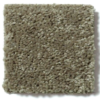 Shaw Floors Full Court 12′ Aloe 52Y46_00300