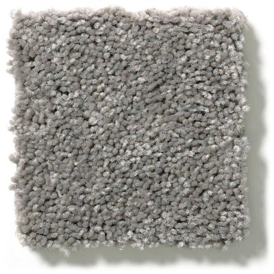 Shaw Floors Full Court 12′ Ink Spot 52Y46_00501