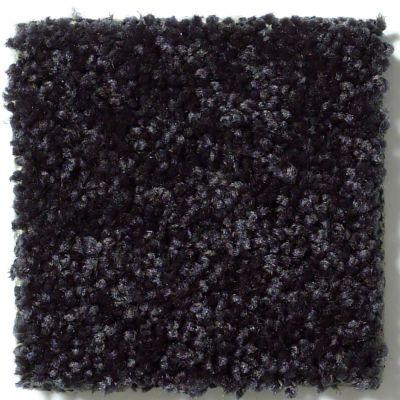 Shaw Floors Full Court 12′ Armour 52Y46_00502