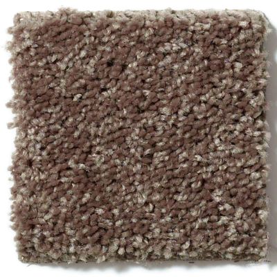 Shaw Floors Full Court 12′ Cattail 52Y46_00702