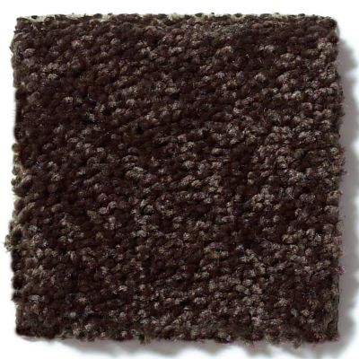 Shaw Floors Full Court 12′ Coffee Bean 52Y46_00705