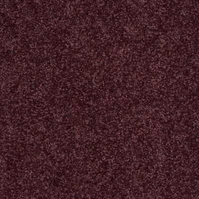 Shaw Floors Fielder’s Choice 12′ Royal Purple 00902_52Y70