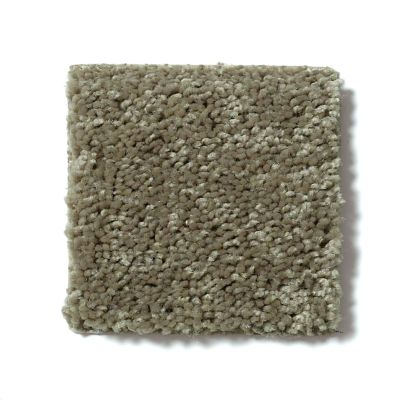 Shaw Floors Full Court 15′ Aloe 52Y82_00300
