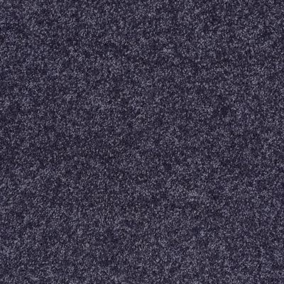 Shaw Floors Full Court 15′ Denim 00410_52Y82