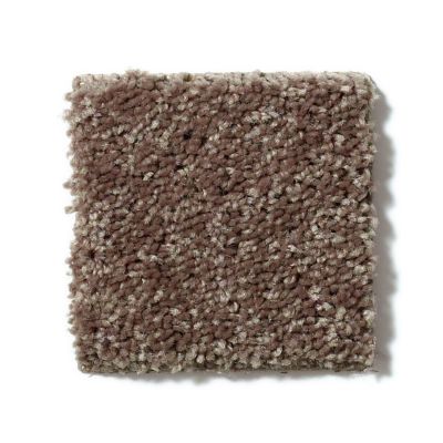 Shaw Floors Full Court 15′ Cattail 52Y82_00702