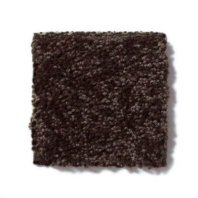 Shaw Floors Full Court 15′ Coffee Bean 52Y82_00705