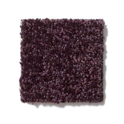 Shaw Floors Full Court 15′ Royal Purple 52Y82_00902