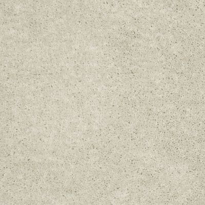 Shaw Floors Fielder’s Choice 15′ Morning Light 00102_52Y92