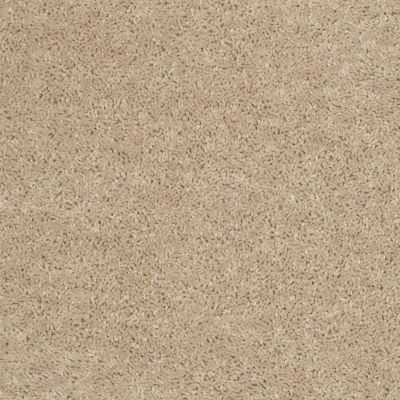 Shaw Floors Fielder’s Choice 15′ Adobe 00103_52Y92