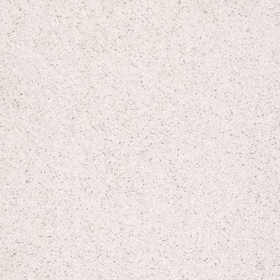 Shaw Floors Shaw Flooring Gallery Ellendale 15′ Halo 00100_5301G