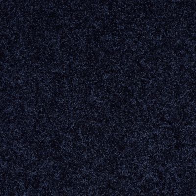 Shaw Floors Shaw Flooring Gallery Ellendale 15′ Evening Sky 00403_5301G
