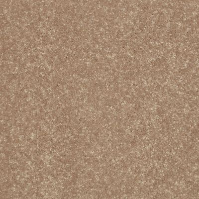 Shaw Floors Shaw Flooring Gallery Union City II 15′ Tassel 00107_5304G