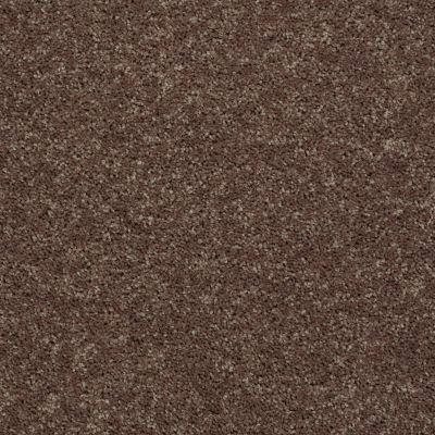 Shaw Floors Shaw Flooring Gallery Union City II 15′ Cattail 00702_5304G